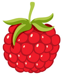One piece of raspberry on white background