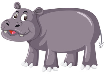 Cute hippo on white background