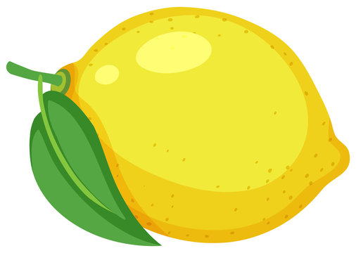 One yellow lemon on white background