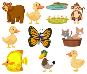 Large set of different types of animals on white background