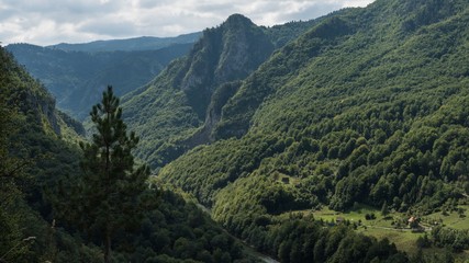 Naklejka na ściany i meble View of the Tara river canyon in Montenegro in September morning