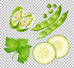 Different types of vegetables on transparent background