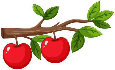 Two red apples on the branch