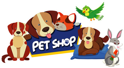 Fototapeta premium Font design for pet shop with many cute animals