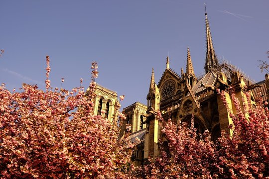 Incendie de Notre Dame avant 8h &agrave; Paris