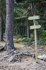 signpost in a forest near Madrid. Spain