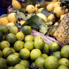 Large lemons with thick peels at farmers market.