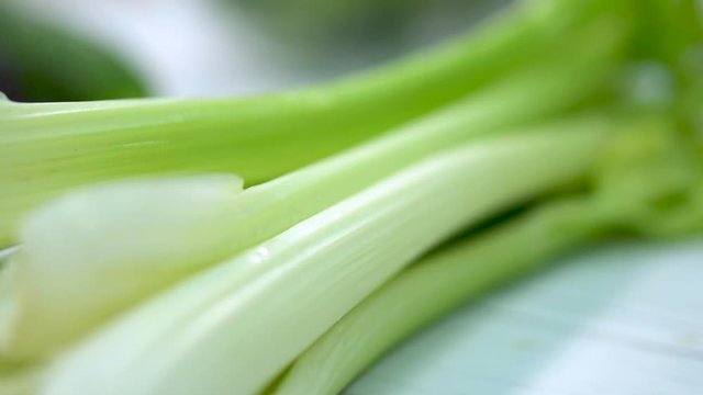 celery stalks large on the table