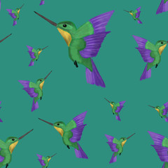 Fototapety  Watercolor green and violet colibri on dark blue background. Hummingbird summer print. Beach, packaging, wallpaper, textile, fabric design