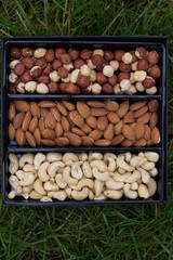Box with three kinds of nuts, cashews, hazelnuts, almonds. Grass background. Top view.