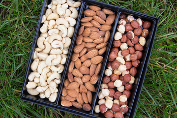 Box with three kinds of nuts, cashews, hazelnuts, almonds. Grass background. Top view.