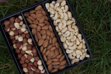 Box with three kinds of nuts, cashews, hazelnuts, almonds. Grass background. Top view.
