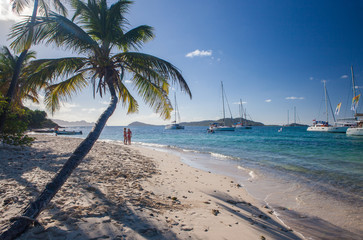 Petit Rameau Caribbean tropical Island Beach 