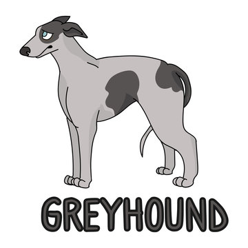 Greyhound Cartoon Images – Browse 1,751 Stock Photos, Vectors, and Video |  Adobe Stock