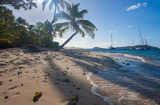 Petit Rameau Caribbean tropical Island Beach 