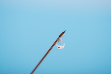 detalle de una gota saliendo de la aguja de una jeringuilla sobre fondo azul liso con espacio
