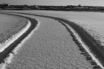 Fototapeta premium First Tracks