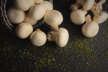 Group of champignon on slate table base