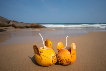 Kokosy na plaży © piotrszczepanek