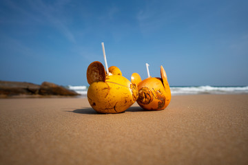 Kokosy na plaży © piotrszczepanek