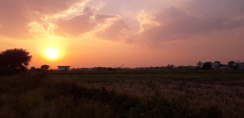 sunset over field