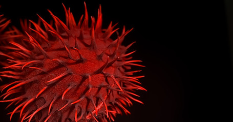 COVID-19, Pandemic virus 2020 , chinese virus 2019-nCoV. Macro photo