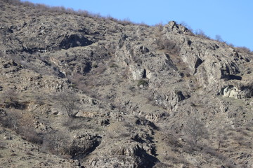 Hill with rocks and plants in early spring
