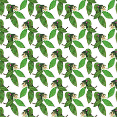 Hand-drawn watercolor lemon tree branch seamless pattern on white background. Green leaves and flowers of citrus tree endless print for your design. Cute floral wallpaper.