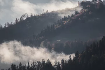Foto auf Acrylglas Wald im Nebel Blick auf die Berge