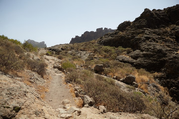 Fototapeta premium Trekking