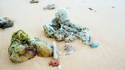 Fototapeta na wymiar Broken coral, seashell and rock on sand beach background.
