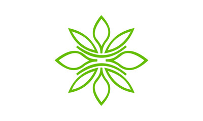 green leaf isolated on white background