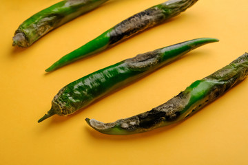 An ugly, rotten green chili pepper covered in mold on a yellow background with space for text in a horizontal orientation