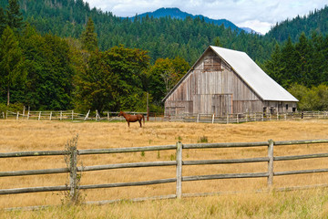 Old wooden barn, horse on a pasture fenced with a wooden fence.