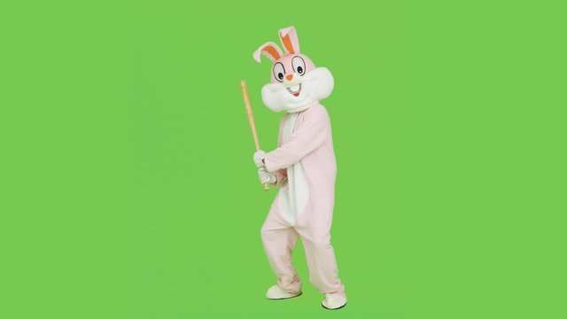 Baseball player in adult easter rabbit bunny life-size suit costume to hit swing a Baseball Bat on chroma key or green screen