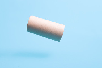toilet paper sleeve flies on a blue background copy space