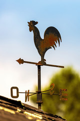 Cockerel Wind direction