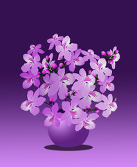 In spring and summer, fruit trees bloom (cherry, apple, plum and others). These are favorite objects for photographers and artists.