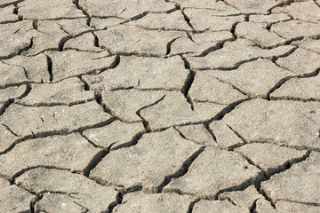 Drought barren cracked soil textured background, global warming, climate change, water crisis and ecological problems concept, closeup, copy space