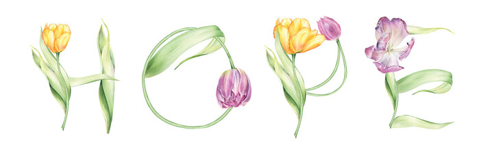 Watercolor floral spring lettering.  Spring of Hope. Tulips arrangements. Hope word. Tulips letters. Spring and hope. 