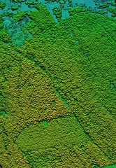 DEM - digital elevation model. Hipsometric photo taken from a drone. It shows forest area during recultivation with a lot of trees.