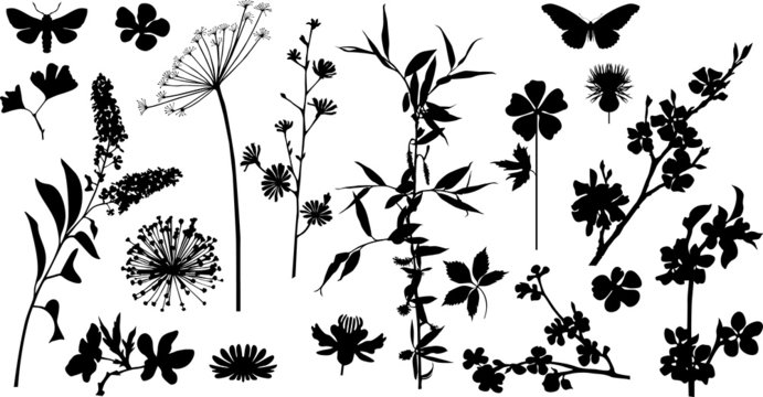 Collection of variable plants and flowers - silhouettes