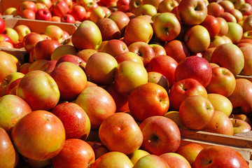 Fresh red and yellow apples at a farmers market