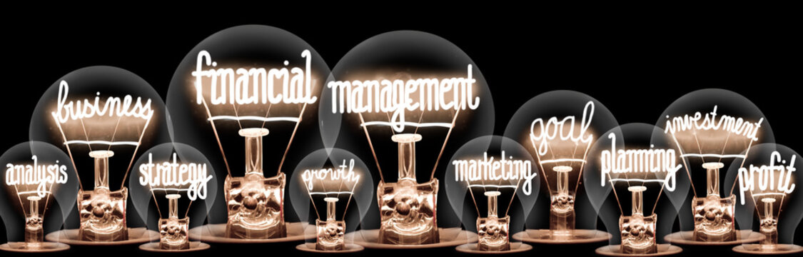 Light Bulbs with Financial Management Concept