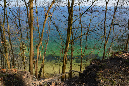 widok na klif z drzewami i Morze Bałtyckie, Gdynia in Poland