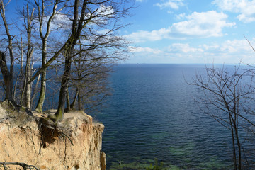 view of cliff with trees and Baltic Sea, Gdynia in Poland