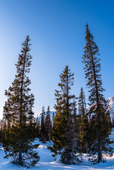 Cold winter day, spring, March, mountain range in the sun in the forest