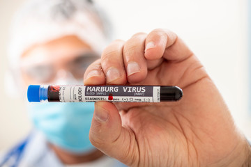 Fototapeta premium Doctor holding test tube blood sample