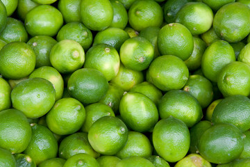 Limes