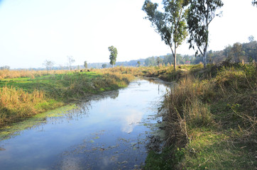 Channel of River Beas at Ground of Kaloor Himachal Pradesh India